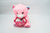 Pink Teddy Stuff Toy
